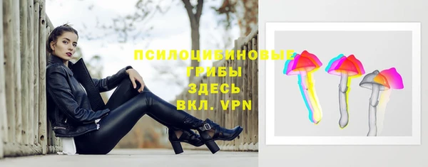 соль ск Арсеньев