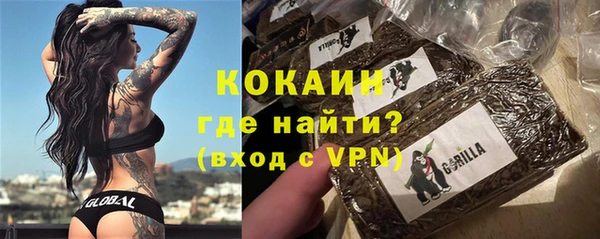 соль ск Арсеньев