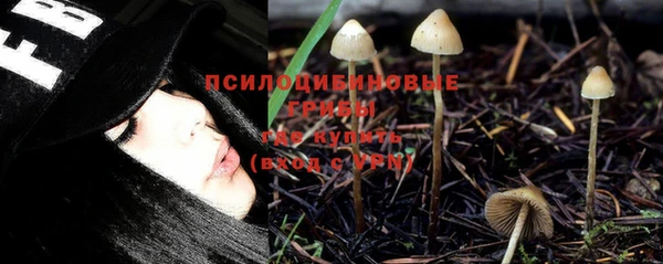 PSILOCYBIN Аркадак